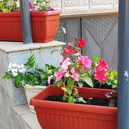 Apartment Drinski Odmor ,,mima,, 1