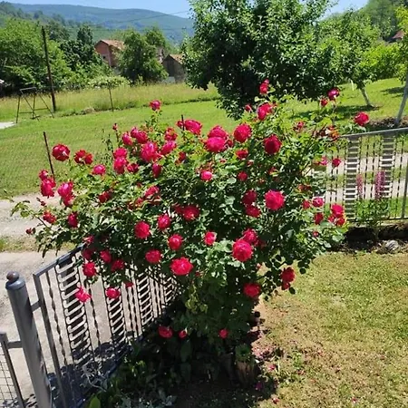 Apartment Drinski Odmor ,,mima,, 1