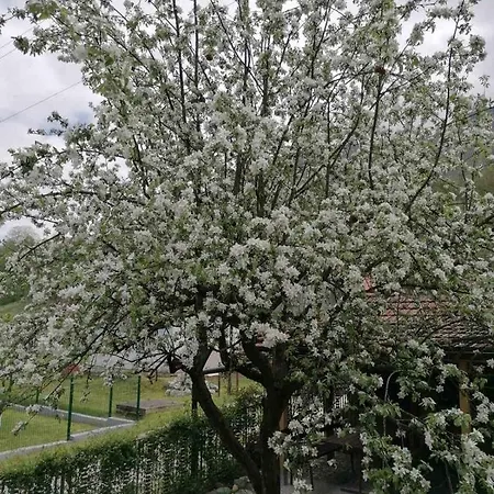 Drinski Odmor ,,mima,, 1 Apartment *