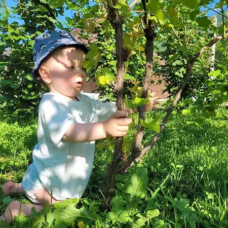 Apartment Drinski Odmor ,,mima,, 1 *