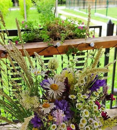 Drinski Odmor ,,mima,, 1 Perucac