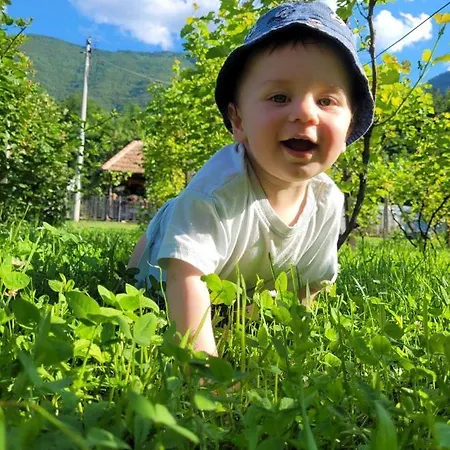 Drinski Odmor ,,mima,, 1 Apartment Perucac