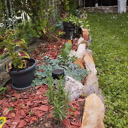 Apartment Drinski Odmor ,,mima,, 1 *