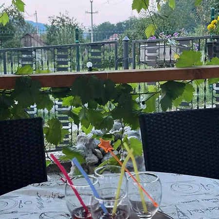 Drinski Odmor ,,mima,, 1 Apartment Perucac