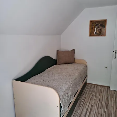 Drinski Odmor ,,mima,, 1 Apartment *