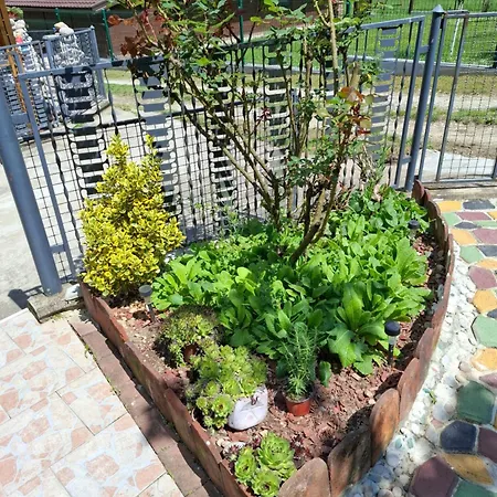 Apartment Drinski Odmor ,,mima,, 1 *