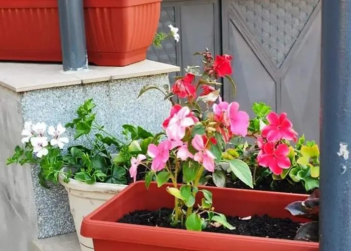 Appartement Drinski Odmor ,,mima,, 1