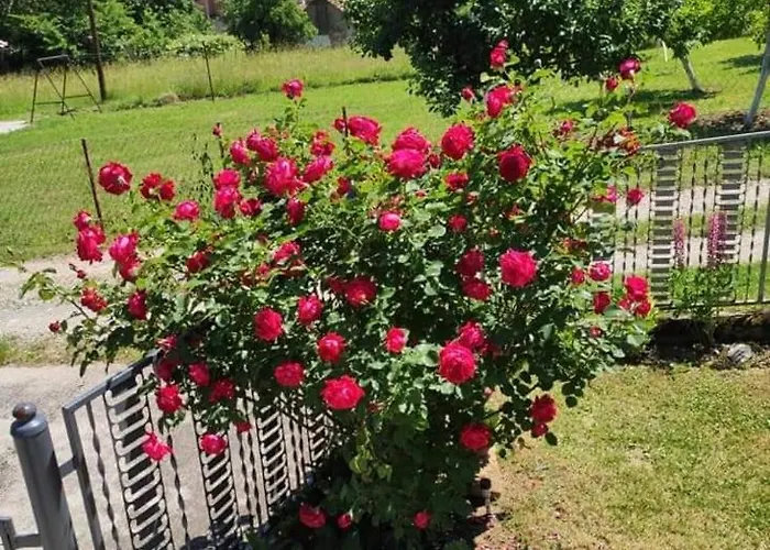 Appartement Drinski Odmor ,,mima,, 1