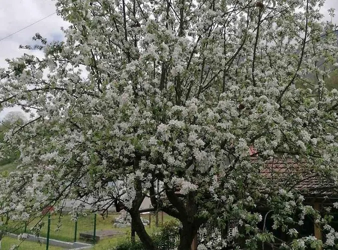 Drinski Odmor ,,mima,, 1 Appartement *