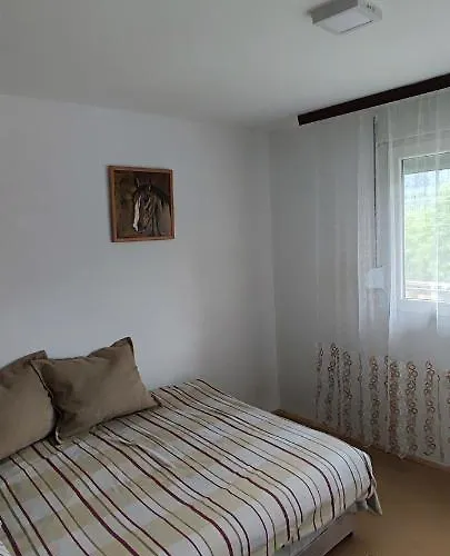 Drinski Odmor ,,mima,, 1 Appartement Perucac