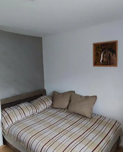 Drinski Odmor ,,mima,, 1 Appartement *