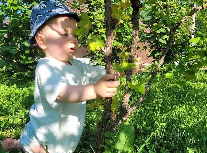 Appartement Drinski Odmor ,,mima,, 1 *