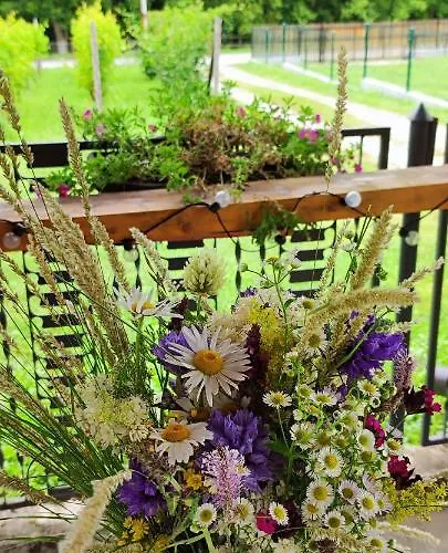 Drinski Odmor ,,mima,, 1 Perucac