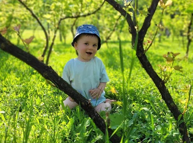 Drinski Odmor ,,mima,, 1