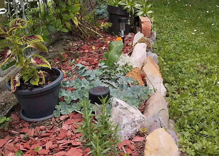 Apartmán Drinski Odmor ,,mima,, 1 *