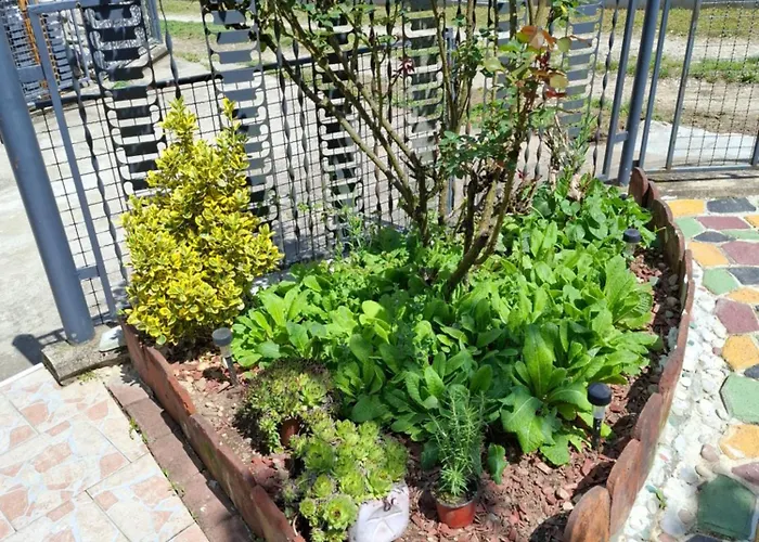 Appartement Drinski Odmor ,,mima,, 1 *